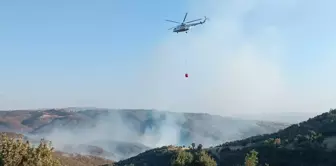 Uşak'ın Eşme ilçesinde meşelik alanlarda çıkan yangınlara müdahale ediliyor