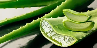 Aloe vera bitkisi evde nerede durmalı, nasıl bakılır? Aloe vera jelinin faydaları neler, nasıl kullanılır?