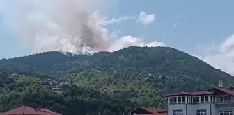 Zonguldak'ta orman yangını kontrol altına alındı