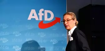 Almanya'da aşırı sağcı parti AfD birinci parti oldu