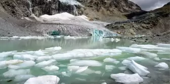 Çin'de 40.000 yıllık bir buzulda 1.700 antik virüs keşfedildi