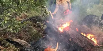 Muğla'da Yıldırım Yangınları Artıyor