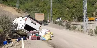 Adana'da Minibüs Devrildi: 4'ü Çocuk 6 Kişi Yaralandı