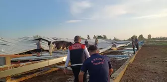 Osmaniye'de Fırtına ve Sağanak: Ağaçlar Devrildi, Yollarda Su Birikintileri Oluştu