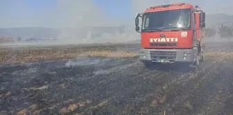 Tokat'ın Niksar ilçesinde çıkan yangında 25 dönümlük alan zarar gördü