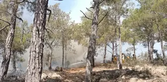 Mersin'de Ormanlık Alanda Çıkan Yangın Kontrol Altına Alındı