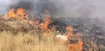 Silifke'de Otluk Alanda Yangın Çıktı