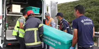 Manisa'da Trafik Kazası: Bir Ölü, Bir Yaralı