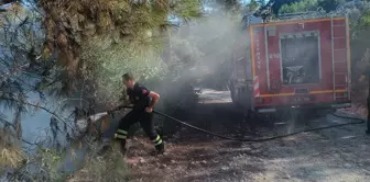 Hatay'da Orman Yangını Söndürüldü