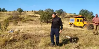 Çorum'da Çoban Hayvan Otlatırken Ölü Bulundu