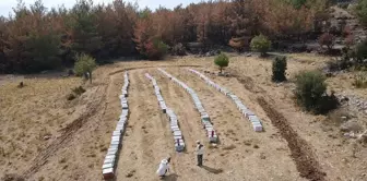 Muğla'daki Yangında Arıcılar Kovanlarını Kurtardı