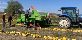 Beyşehir'de Kabak Çekirdeği Üretiminde İvme Kazanıldı