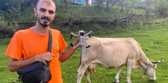 Drone ile İneklerini Getiren Gençten İlginç Yöntem