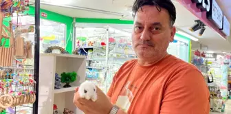 Eskişehir'de Pet Shop Sahibi Hayvan Bakımında Farkındalık Eksikliğine Dikkat Çekti