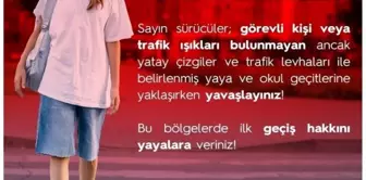 Adana'da Yaya Geçidinde İki Kadın Hayatını Kaybetti