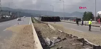 Samsun'da Arı Sokmasıyla TIR Kazası: Sürücü Yaralandı