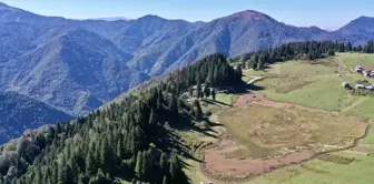 Giresun'un Huzur Dolu Noktası: Gölyanı Yaylası