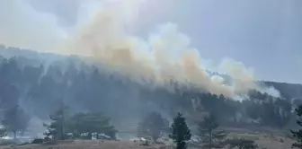 Balıkesir'de Orman Yangını Çıktı, Ekipler Müdahaleye Başladı