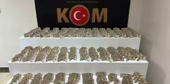 Elazığ'da Sahte Para Operasyonu: 700 Bin TL Değerinde Dolar Ele Geçirildi