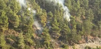 Yayladağı'ndaki Orman Yangını Hızla Söndürüldü