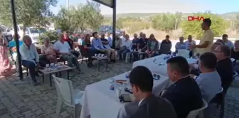 Foça'da Zeytin Hasat ve Sıkım Sezonu Başladı