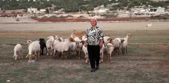 Yayladağı'nın Tek Kadın Çobanı: Fatma Keşikçi'nin Başarı Hikayesi