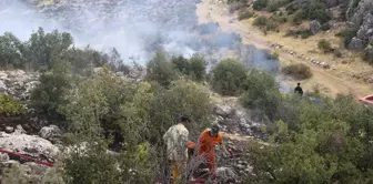 Gaziantep'te ormanlık alanda çıkan yangına müdahale ediliyor