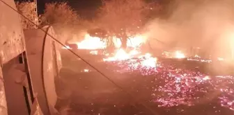 Mersin Silifke'de Zirai Alanda Yangın: 3 Hektar Zarar Gördü