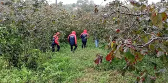 Hurma Toplamak İçin Çıktığı Ağaçtan Düşen Yaşlı Adam Hayatını Kaybetti