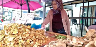 Ordu'nun Yöresel Tirmit Mantarı Talep Görüyor