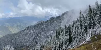 Artvin'de Kar Yağışı Yine Etkili Oldu