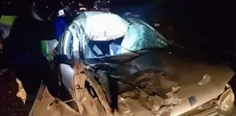 Elazığ'da otomobilin ineğe çarpması sonucu 3 kişi yaralandı