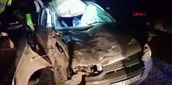 Elazığ'da Yola Çıkan İneğe Çarpan Otomobilde 3 Yaralı