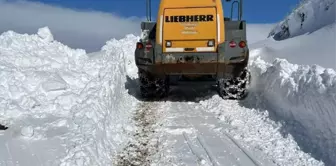 Hakkari'de Aytepe Üs Bölgesi Yolunun Açılması İçin Çalışmalar Başlatıldı