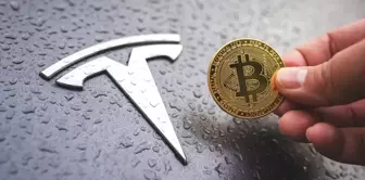 Tesla Bitcoin varlıklarını açıkladı