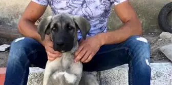 Isparta'da Tartışma Kanlı Bitti: Bir Kişi Bıçaklanarak Öldürüldü