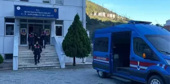 Borçka'da İzinsiz Orman Kesimi: Kooperatif Başkanı Gözaltına Alındı