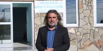 Prof. Dr. Lokman Aslan'dan Ayılara Karşı Almamız Gereken Önlemler