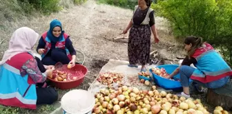 Gazipaşa'da Vefa Sosyal Destek Grubu 411 Hane Ziyareti Gerçekleştirdi