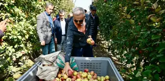 Karaman Valisi Elma Hasadına Katıldı