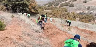 Kayseri'de Bal Ormanı Projesi hayata geçiriliyor