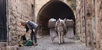 Mardin'de 'çalışan eşekler' emekliye ayrılıyor