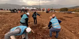 Bilecik'te Mahkumlar Fidan Dikimi Yapıldı