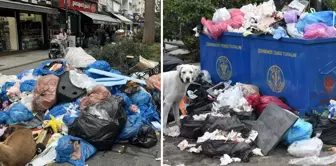 Buca Belediyesi'nde grev var, sokaklar çöplüğe döndü