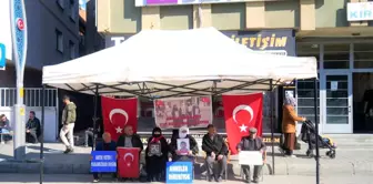 Muş'ta Ailelerin Dağa Kaçırılan Çocukları İçin Eylemi Devam Ediyor