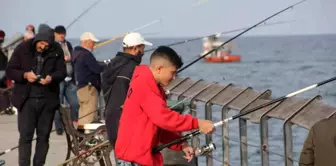 Amatör Balıkçılar Güneşli Havada Rıhtımda Balık Tutmanın Keyfini Çıkarıyor