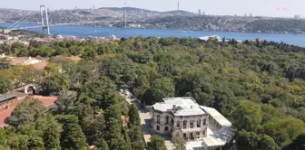 İstanbul Mahkemesi, Yıldız Parkı'nın SİT statüsü değişikliğini iptal etti