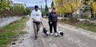 Köpek Eğitimi Artık Evde: Baybars Üregen ile Yeni Yaklaşım