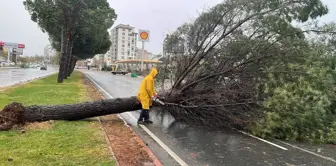 Kahramanmaraş'ta Fırtına ve Tipi Hayatı Olumsuz Etkiliyor