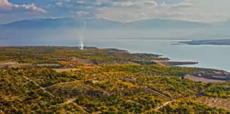 Elazığ'da Sonbahar Güzellikleri Kayısı Bahçelerinde Yaşanıyor